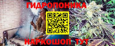 МДПВ Чапаевск
