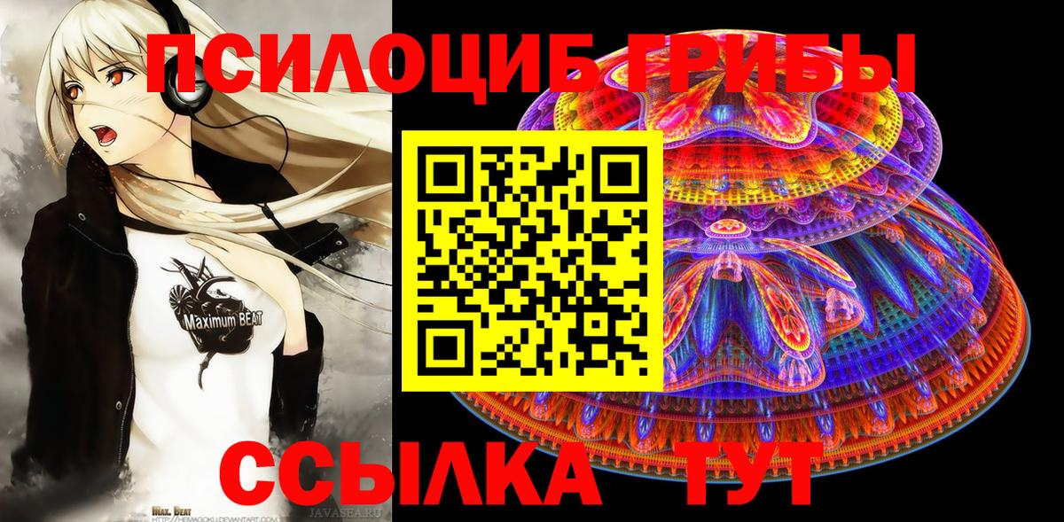 Псилоцибиновые грибы MAGIC MUSHROOMS  Вход с VPN  Лыткарино 